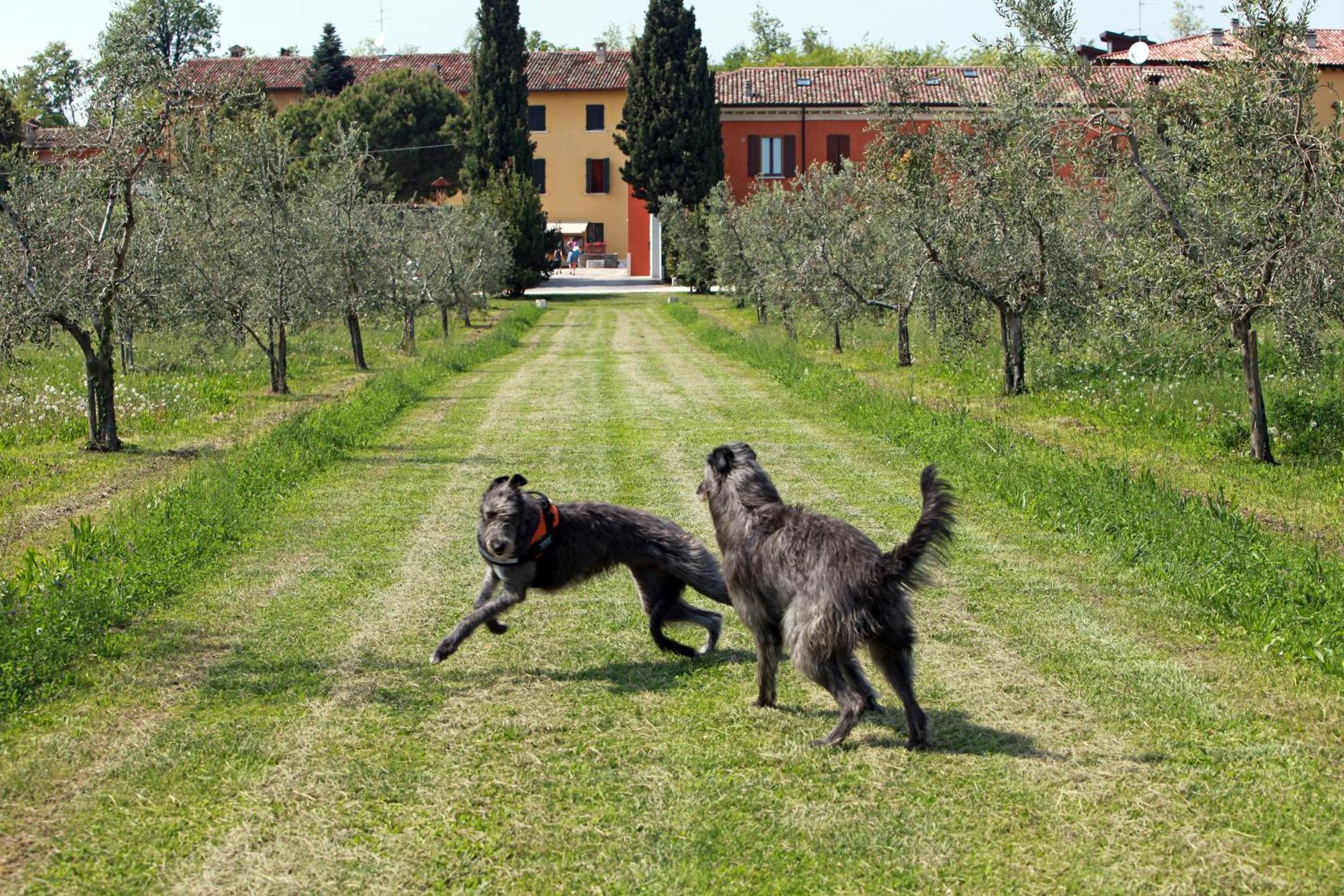 Agriturismo La Filanda Manerba del Garda Exterior foto